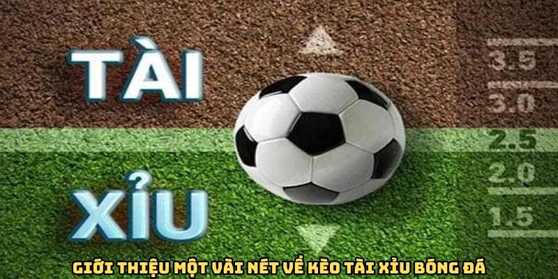 Giới thiệu một vài nét về kèo tài xỉu bóng đá